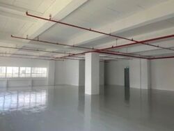 Perfect One (D13), Factory #541625851